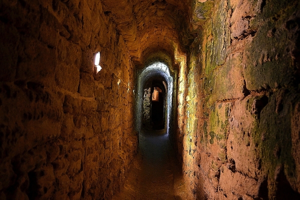 Museo Arqueológico